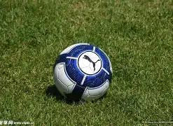 年三省八县,篮球盛宴,巅峰对决精,开云体育,开云体育官网,开云体育app,开云体育平台,KAIYUN,SPORTS,kaiyun登录入口