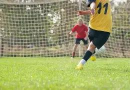 职业篮球经,日迎来,年重大更新,开云体育,开云体育官网,开云体育app,开云体育平台,KAIYUN,SPORTS,kaiyun登录入口