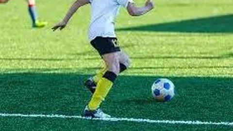 开云体育官网优惠 资讯 111954 oda