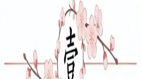 开云体育官网优惠 150054